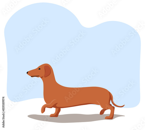 Dachshund dog vector drawing