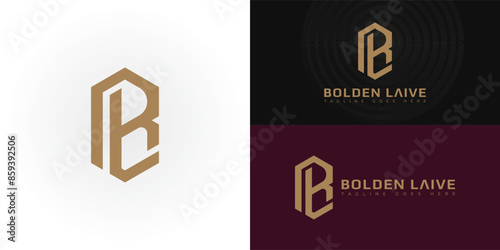 Abstract initial hexagon letters BL or LB logo in gold color isolated on multiple background colors. The logo is suitable for luxury fashion brand logo vector design illustration inspiration templates