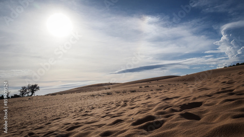 Canvastavla The sand dunes in Mui Ne in Southern Vietnam
