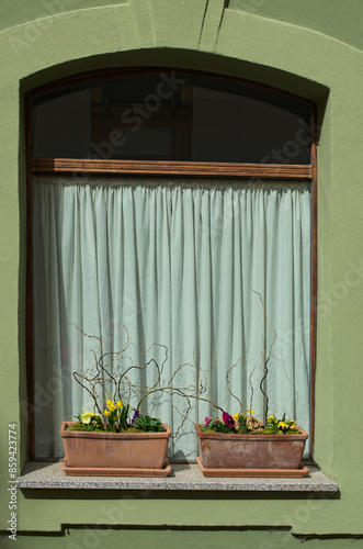 Bright green wall of rustic old house with the window with white curtains. Two flower pots with flowers on the windowsill. Loket, Czech Republic