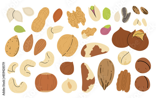 Set of nuts and seeds on white background. Pecan, Brazil nut, almond, hazelnut, pistachio, walnut, cashew, peanut, sunflower and pumpkin seeds. Healthy eating