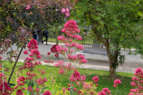Wallpaper Mural Monet garden in Giverny Torontodigital.ca