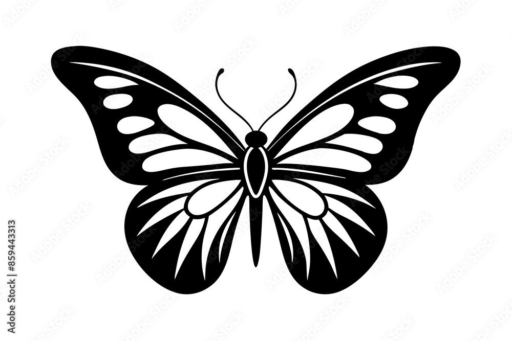 butterfly ,vector , silhouette , illustration . butterfly ,vector , silhouette , illustration .