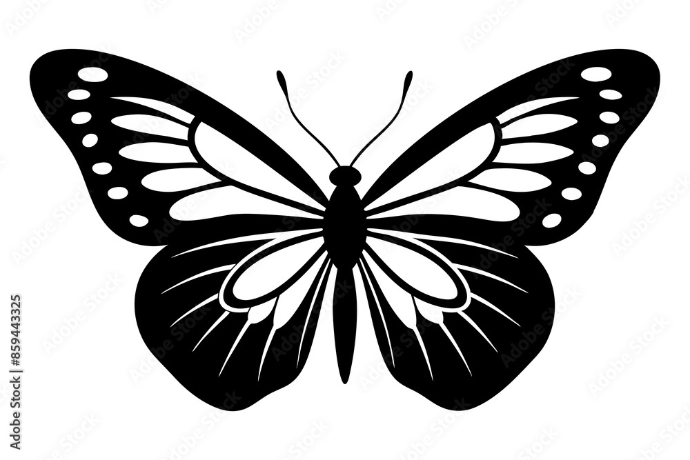 butterfly ,vector , silhouette , illustration . butterfly ,vector , silhouette , illustration .