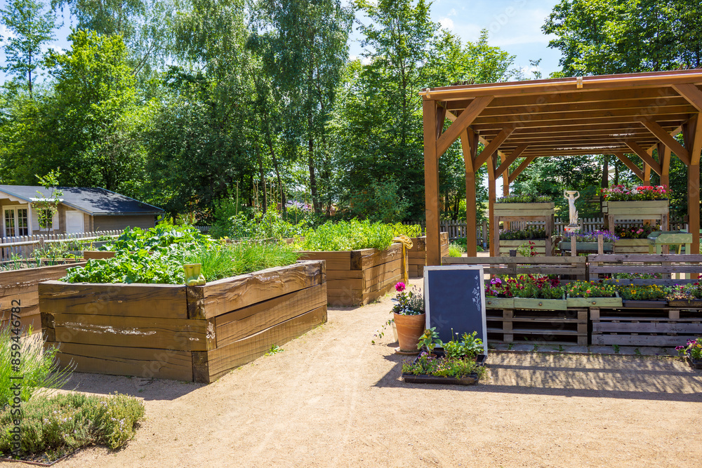 Selling vegetable seedlings on an organic farm. Plants in a pots near high beds Selling vegetable seedlings on an organic farm. Plants in a pots near high beds