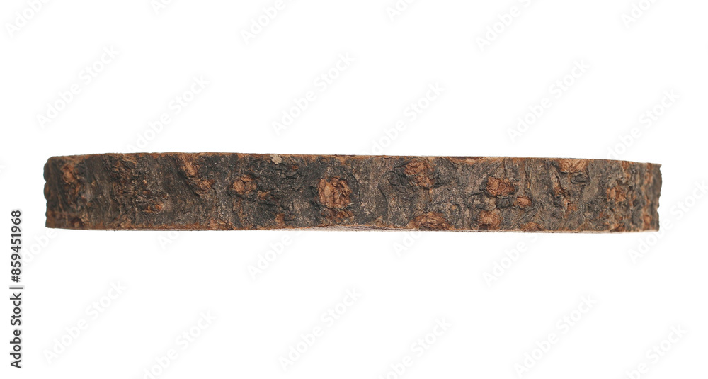 Cross section of tree trunk isolated on white background, side view Cross section of tree trunk isolated on white background, side view