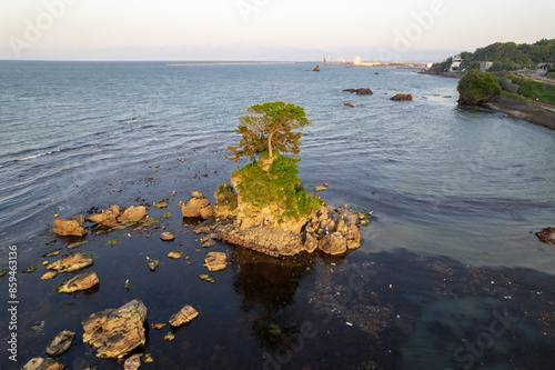 雨晴海岸・女岩と立山連峰（ドローンによる空撮） photo