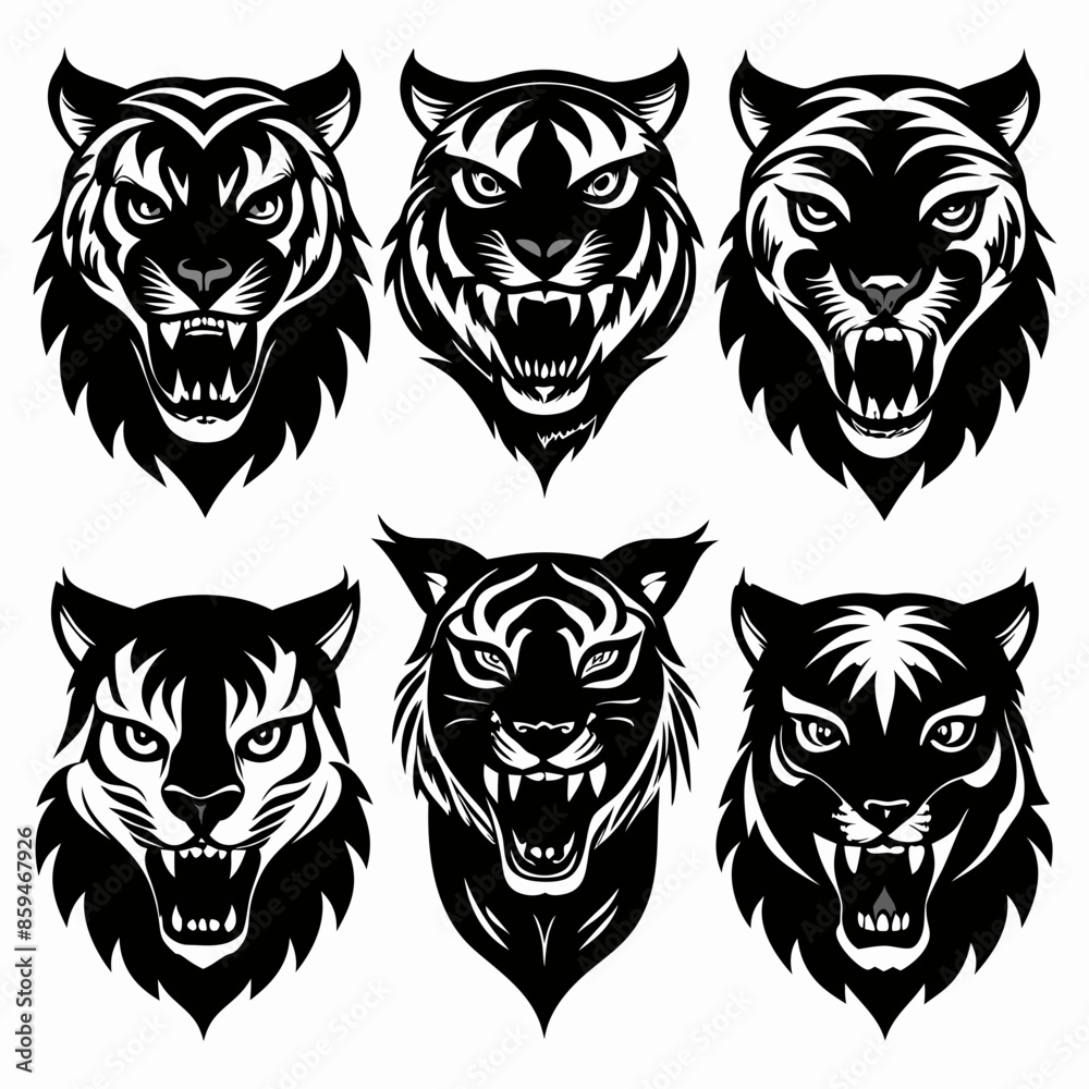 Fototapeta premium set of black and white tiger
