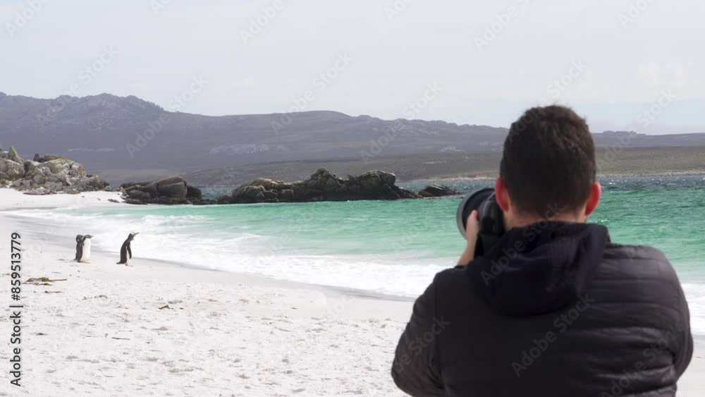 Male Photographer Takes Photos of King Penguins On Beach. Caucasian Tourist Antarctica Cruise Travel Excursion Experience Beautiful Landscape Wildlife Male Photographer Takes Photos of King Penguins On Beach. Caucasian Tourist Antarctica Cruise Travel Excursion Experience Beautiful Landscape Wildlife
