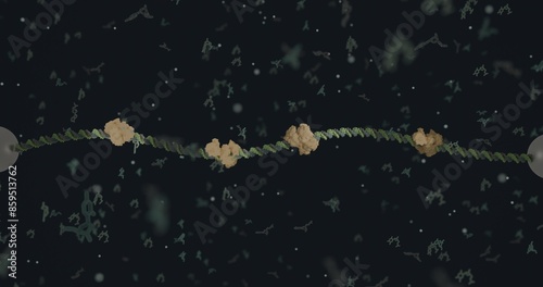 Protein binding to a DNA strand in a C-tap 3d rendering long DNA strand photo