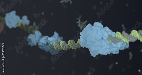 Protein binding to a DNA strand in a C-tap 3d rendering photo