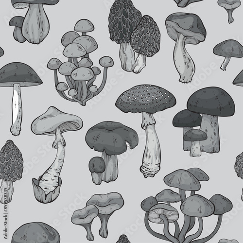 Adobe Illustrator ArtworkSeamless pattern with black monochrome mushrooms, graphic drawing, cut truffle, porcini mushroom, shiitake and chanterelles isolated. Vector illustration
