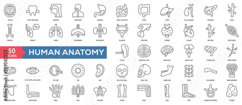 Human Anatomy Icon Collection Set. Easy To Use, Easy To Edit And Simple Line Vector Icons.