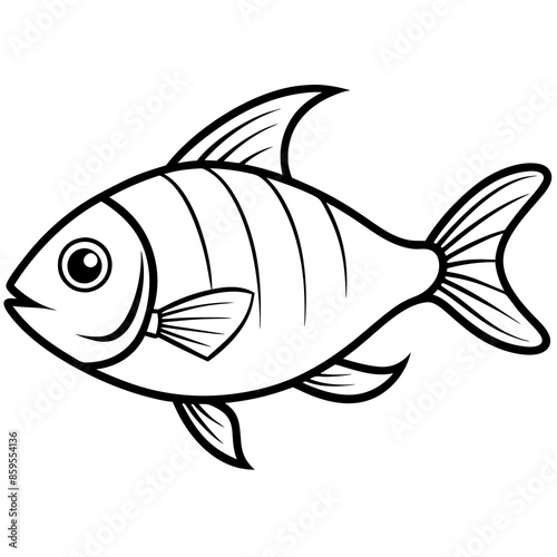 illustration of a fish