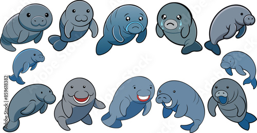 Amazonian Manatee design ,animal vector design