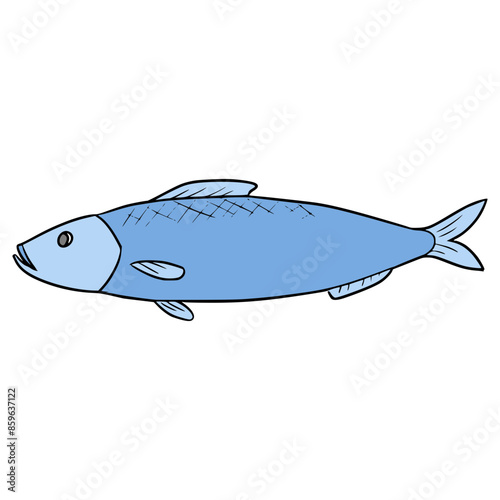 herring fish illustration hand drawn isolated vector	
