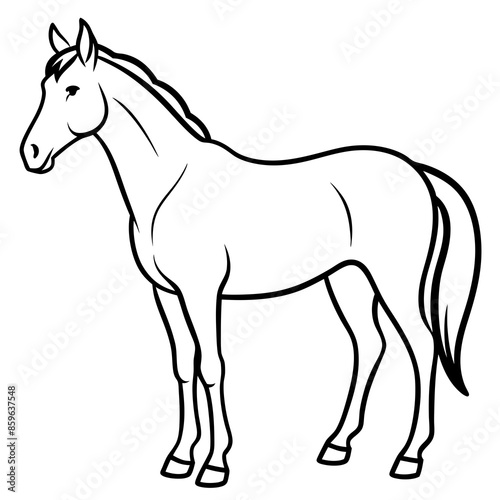 Wallpaper Mural horse isolated on white background Torontodigital.ca