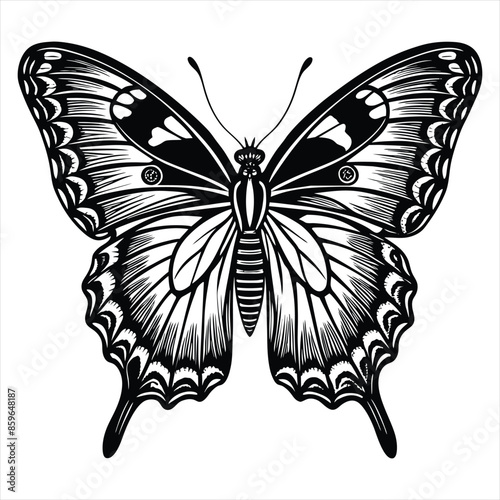 coloring book admiral butterfly black vector art illustration