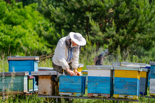 Beekeeper Inspecting Hives in Meadow. A beekeeper in a white suit and hat inspects a hive in a meadow, with other hives in the background.