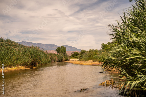 St. George Virgin River Utah Mountain Scene