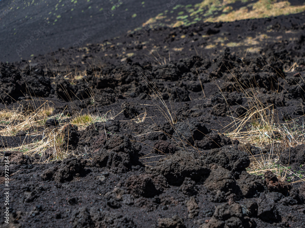 Solidified lava flow on the Etna slopes Solidified lava flow on the Etna slopes