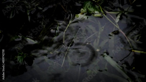 splashing rainwater at night