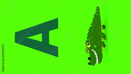 A letter big vertical color like alligator cartoon animation. Animal loop. Educational serie with bold style character for children. Good for education movies, presentation, learning alphabet, etc...