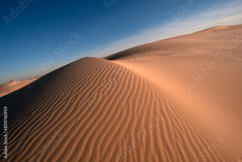 Fotografija Sands of Time: Discover the intricate beauty of desert sand patterns, a natural