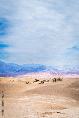 Mesquite Flat Sand Dunes photo