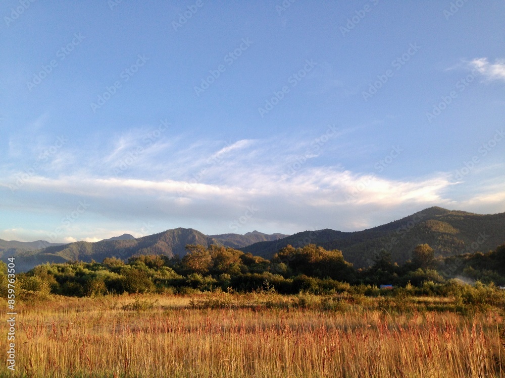 Landscape of the mountains in summer Landscape of the mountains in summer