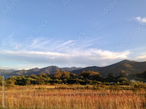 Landscape of the mountains in summer