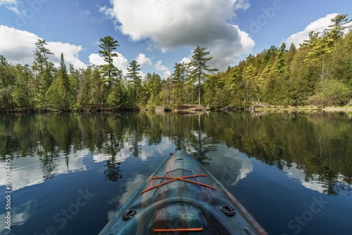 Forest along the shore of the Eramosa River while kayaking in the Rockwood Conservation Area of Ontario, Canada photo