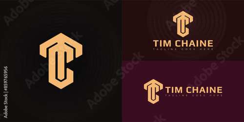 Abstract initial hexagon letters TC or CT logo in gold color isolated on multiple background colors. The logo is suitable for sports brand logo vector design illustration inspiration templates.