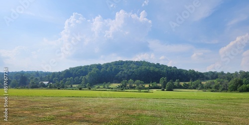 landscape with forest