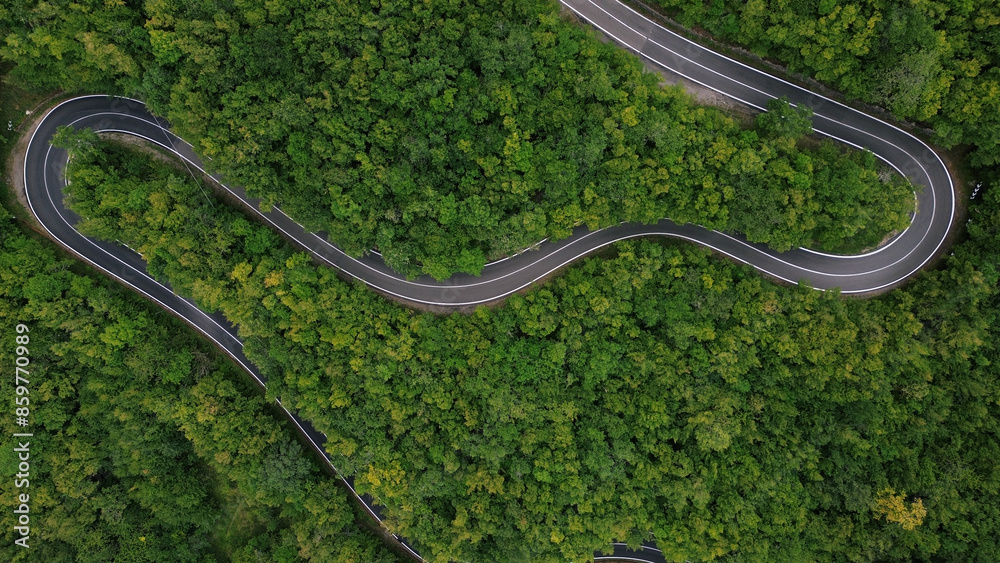 carreteras verdes que son en líneas espaciosas y magnificas. 