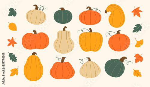 Vector set of colorful various pumpkins and autumn leaves in flat style isolated on white background.