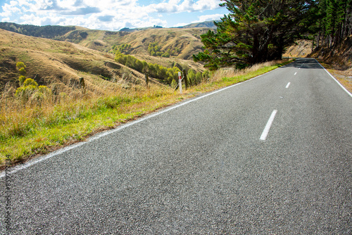 Masterton Castlepoint Road - New Zealand photo