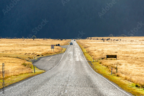 Te Anau Milford Highway 94 - New Zealand photo