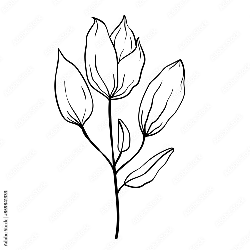 Obraz premium Hand drawn simple flower outline