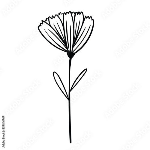 Hand drawn simple flower outline