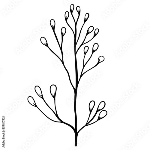 Hand drawn simple flower outline