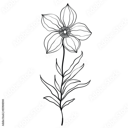 Hand drawn simple flower outline