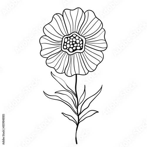 Hand drawn simple flower outline