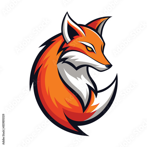 An orange fox with white fur and a curled tail in a circular shape, isolated against a white background.