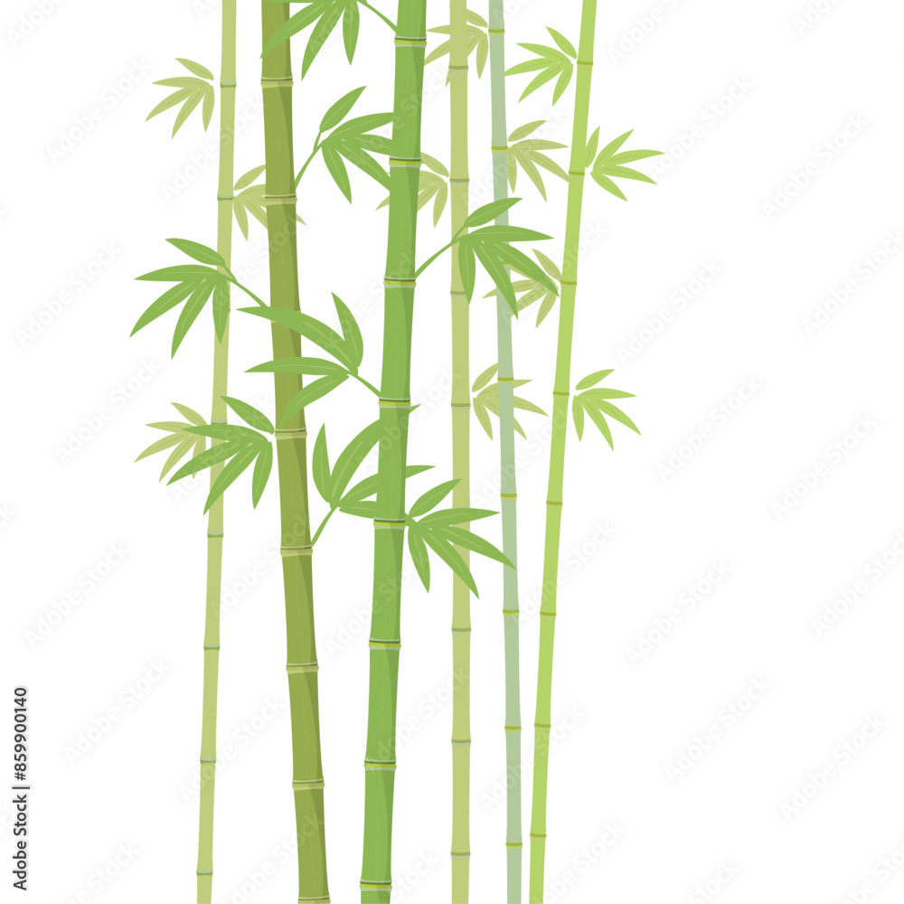 Obraz premium Vector green bamboo illustration