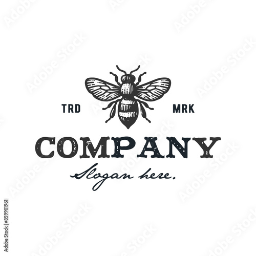 vintage design logo honey bee hand drawn vector illustration