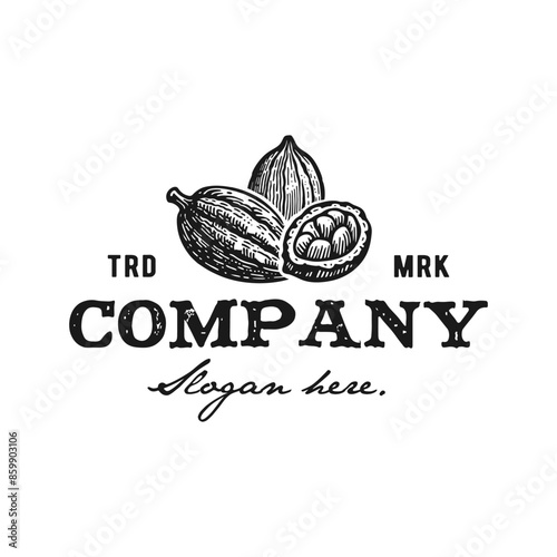 vintage design logo cacao hand drawn vector illustration