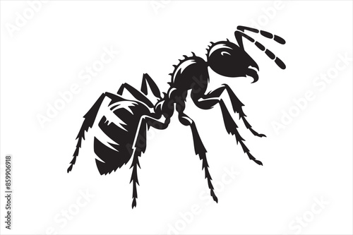 Ant Vector silhouette image