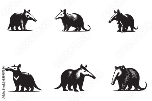 Aardvark Vector silhouette image set