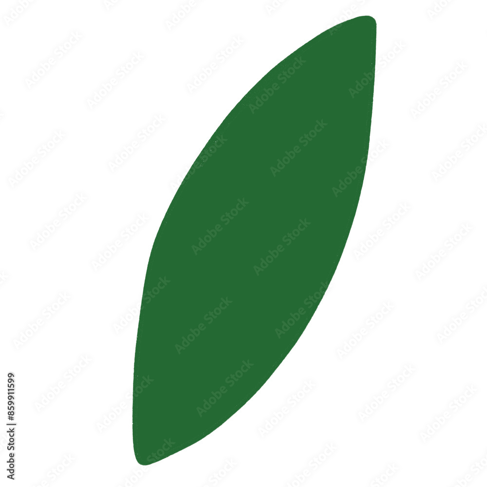 green leaf on white background green leaf on white background